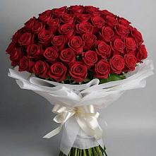Букет 101 Красная роза Блэк Мэджик в Железнодорожном Калининградской области