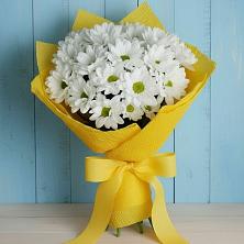 Букет цветов из:  Хризантемы в Железнодорожном Калининградской области