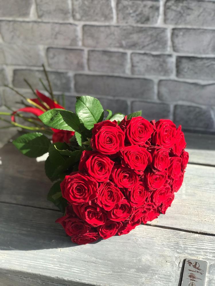 Букет Красные розы Фридом в Железнодорожном Калининградской области