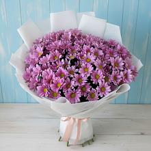Букет цветов из:  Хризантемы #REPLACE_PRED# Железнодорожном Калининградской области