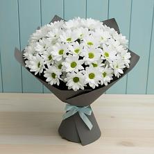 Букет цветов из:  Хризантемы в Железнодорожном Калининградской области