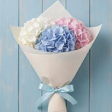 Букет цветов из:  Гортензия в Железнодорожном Калининградской области