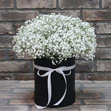 Цветочная композиция из Гипсофила в шляпной коробке в Железнодорожном Калининградской области