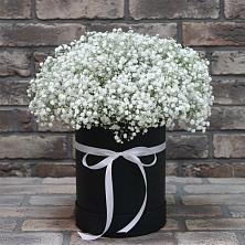 Цветочная композиция из Гипсофила в шляпной коробке в Железнодорожном Калининградской области