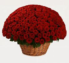 Премиум букет из: Розы в Железнодорожном Калининградской области