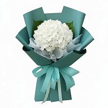 Букет цветов из:  Гортензия в Железнодорожном Калининградской области